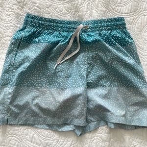 Chubbies Stretch 5.5" Swim Trunks - Men's